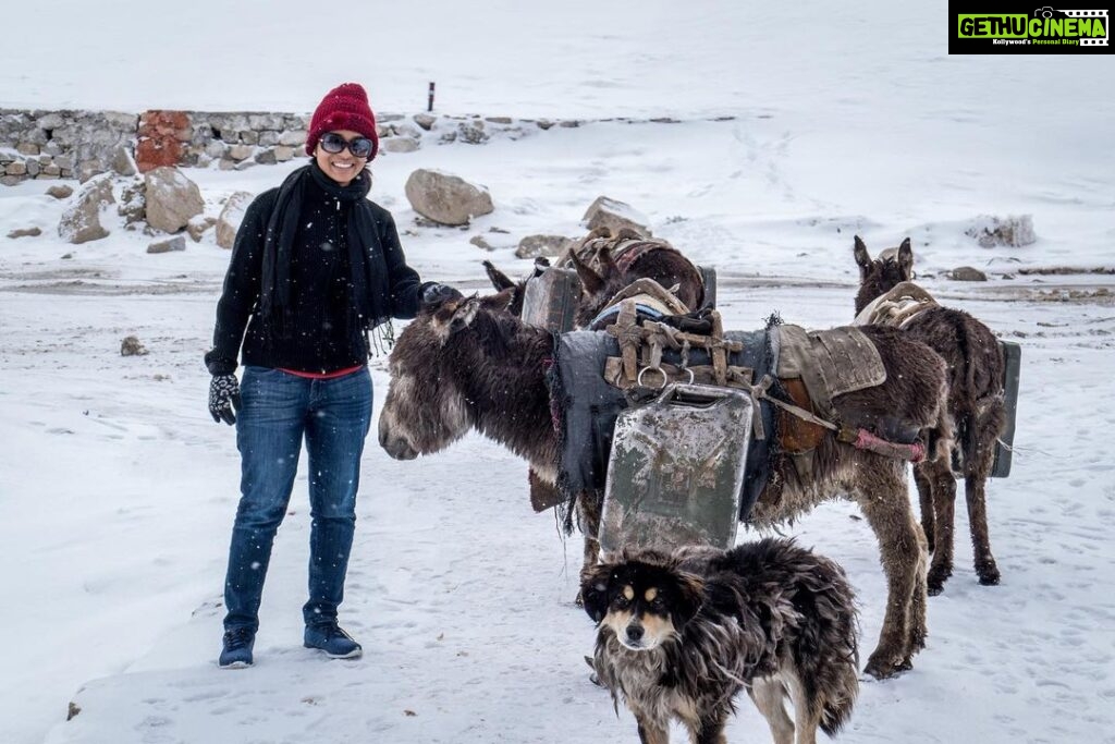 Vinitha Koshy Instagram - #throwback #lehladakh Leh Ladakh