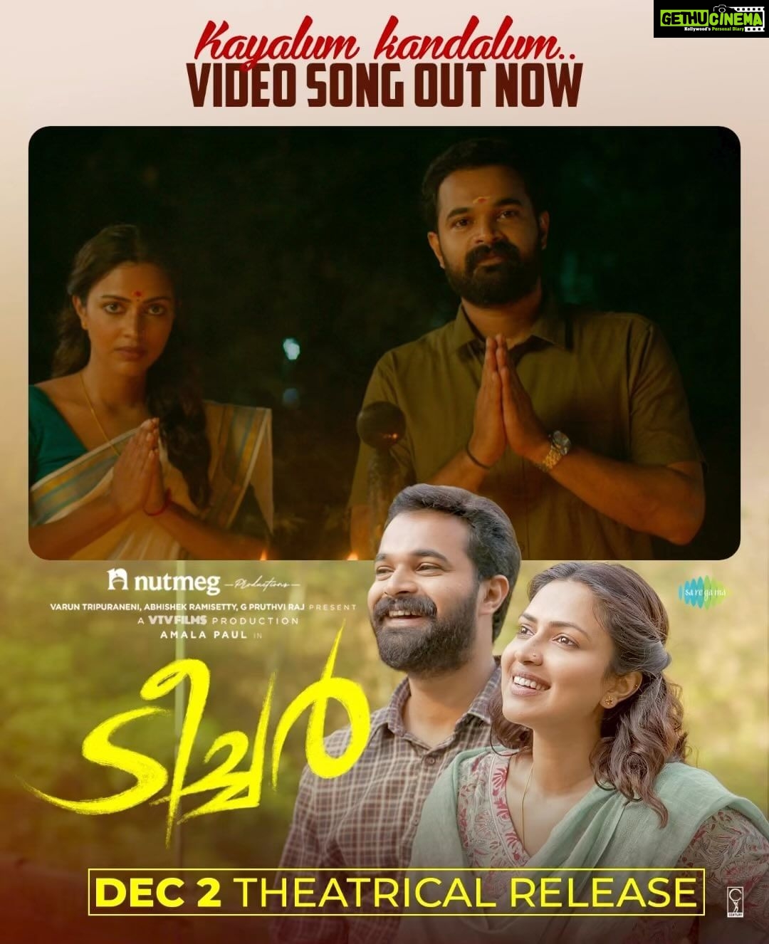 Vinitha Koshy Instagram - Releasing on 2nd December ❣️ #vivekthomas @vtvfilms @amalapaul @anumoothedath @pvshajikumar @hakim_shahjahan @pallickaljoshythomas @anees.nadodi @chembanvinod @jishadshamsudeen @shinosshamsudheen @aneevsukumardir @vinayaksasikumar @nutmegprod @anumolofficial @rafikollam_ @pillai_manju @gopika.chandran_ @oldmonksdesign