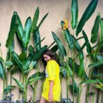 Vithika Sheru Instagram – Add Life To Your Days, Not Days To Your Life 💛 Bali, Indonesia