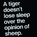 Vivian Dsena Instagram - #TigerHoon#TigerHeRahunga