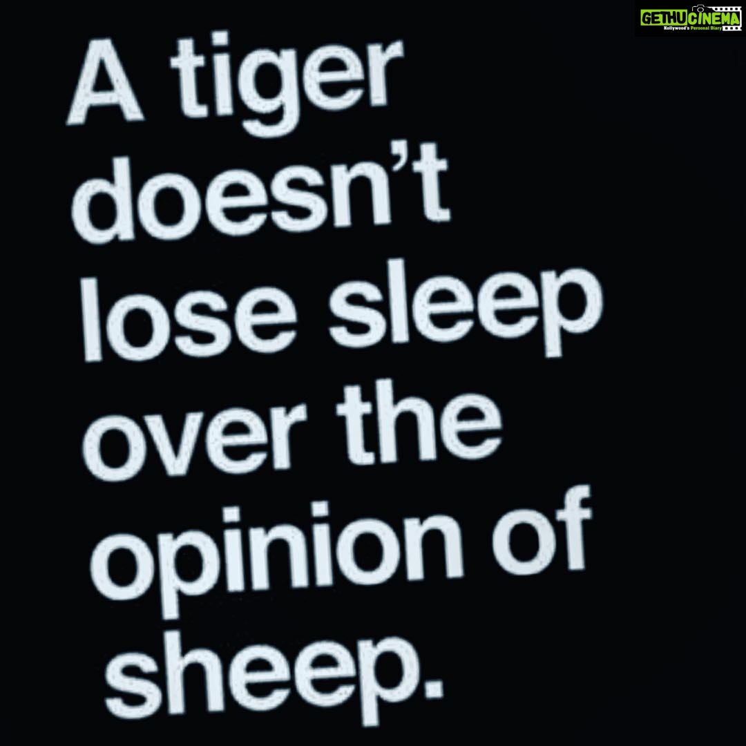 Vivian Dsena Instagram - #TigerHoon#TigerHeRahunga