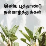 Yuvan Shankar Raja Instagram -