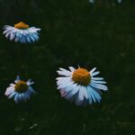 Zaira Wasim Instagram - “O you, the sins you commit shall never affect your Lord; He only wants to keep you (away) from (your own) harm. You should know that your obedience to Him shall never fetch Him any benefit; your obedience is only for your own benefit. So contemplate on your situation. ” — Ibn al-Jawzi رحمه الله | Kitaab Al-Lataa’if Fil-Waa’iz | Pg. 90