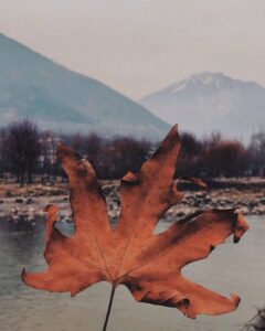 Zaira Wasim Instagram - “Indeed the demands of life and its unpredictable changes can change one’s purpose and alter one’s course, causing the one walking on the path to Allāh to falter, but 

وَمَن یَتَّقِ ٱللَّهَ یَجۡعَل لَّهُۥ مَخۡرَجࣰا

“Whoever fears Allāh, He will make for him a way out” [Quran 65:2].” 

—Ibn al-Jawzi رحمه الله | Kitaab Al-Lataa’if Fil-Waa’iz | Pg. 213