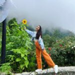 Zoya Afroz Instagram – The smallest things warm the 🧡 Shimla – The Queen Of Hills