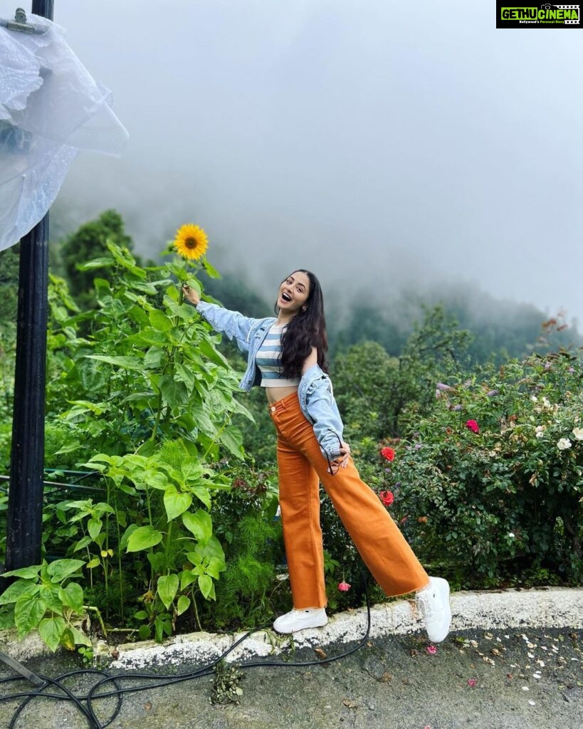 Zoya Afroz Instagram - The smallest things warm the 🧡 Shimla - The Queen Of Hills