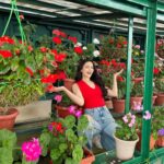 Zoya Afroz Instagram – Flowers need time to bloom. So do you.