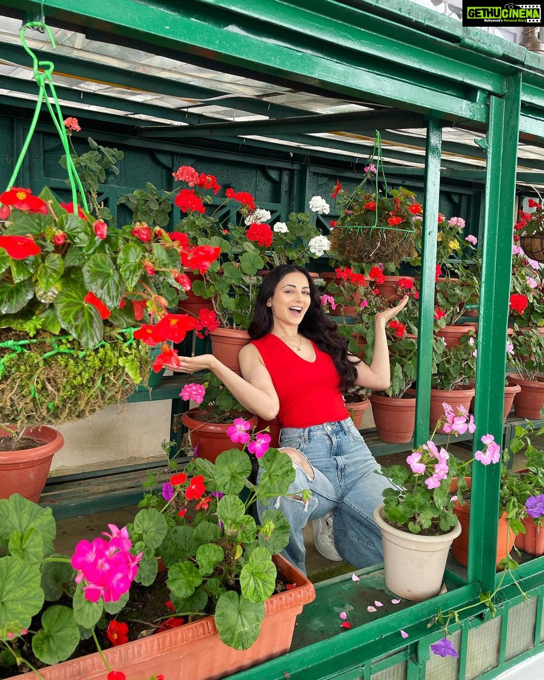 Zoya Afroz Instagram - Flowers need time to bloom. So do you.
