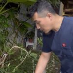 Aaron Aziz Instagram - SubhanAllah apa nak jadi. Harap kan pagar, pagar makan padi…. So nak jadi kan cerita, isteri abg sangat sibuk travel sana sini. Jadi abg yg kena jaga pokok. Aku yg beli, Aku pulak yg kena jaga….. Mati pulak la satu pokok tu. Air kasi, matahari pun kuat… nervous jugak dibuatnya. So Abg masak la Mee Bandung favourite dia. Ambik hati. Punya senang giler buat mee bandung rupanya. Tak payah blend semua bila guna Cili Kisar serbaguna @as_sufifoods tahu tahu dah siap.. Katanya sedap tu la tak marah. Tapi kena game lagi aku ni, kena beli pokok baruuuuuu!!!! #abgMintakMaafTetapKenaKeluarduit #abgMasak #abgSeriousBilaMasak #Abgconcentrate www.assufi.com Shopee : As Sufi Jb https://shopee.com.my/assufijb?smtt=0.709692313-1671343177.3