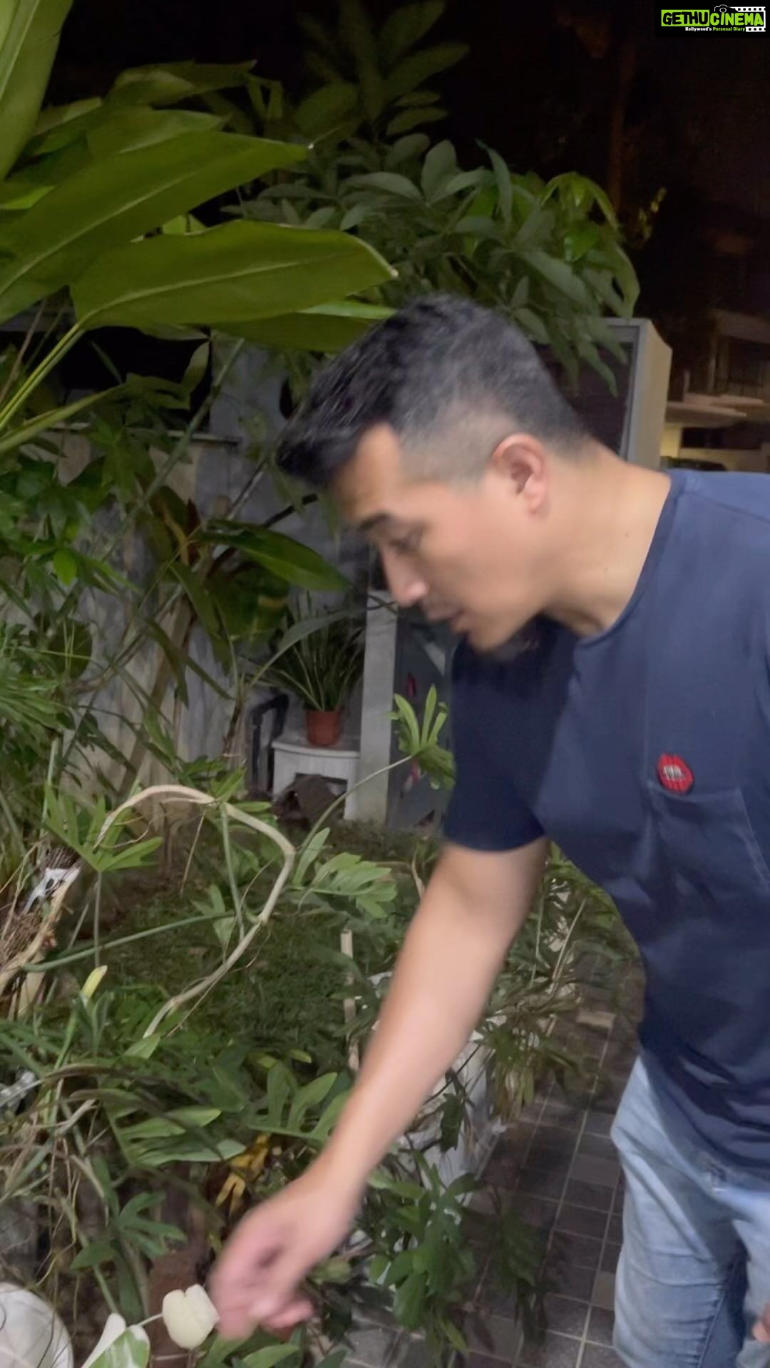 Aaron Aziz Instagram - SubhanAllah apa nak jadi. Harap kan pagar, pagar makan padi…. So nak jadi kan cerita, isteri abg sangat sibuk travel sana sini. Jadi abg yg kena jaga pokok. Aku yg beli, Aku pulak yg kena jaga….. Mati pulak la satu pokok tu. Air kasi, matahari pun kuat… nervous jugak dibuatnya. So Abg masak la Mee Bandung favourite dia. Ambik hati. Punya senang giler buat mee bandung rupanya. Tak payah blend semua bila guna Cili Kisar serbaguna @as_sufifoods tahu tahu dah siap.. Katanya sedap tu la tak marah. Tapi kena game lagi aku ni, kena beli pokok baruuuuuu!!!! #abgMintakMaafTetapKenaKeluarduit #abgMasak #abgSeriousBilaMasak #Abgconcentrate www.assufi.com Shopee : As Sufi Jb https://shopee.com.my/assufijb?smtt=0.709692313-1671343177.3