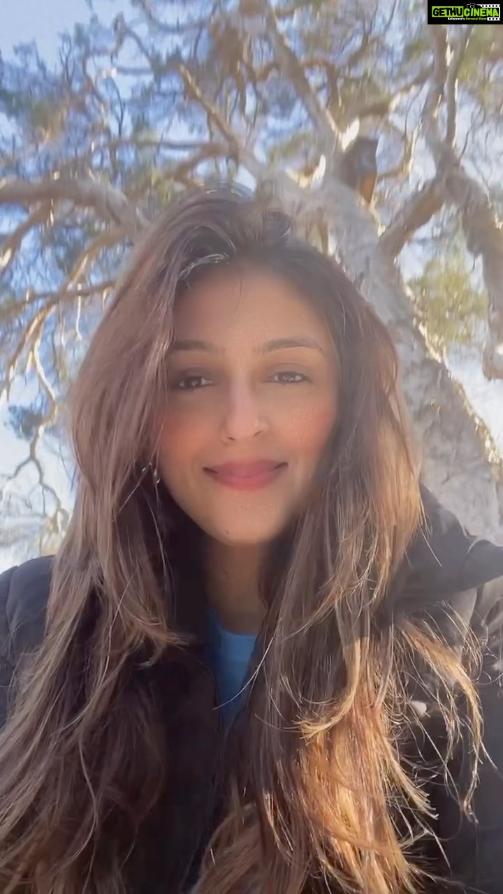 Aarti Chhabria Instagram - Heard what the birds said ???? Gooood Morning from the chirpy birds and me ! 😘❤️🥰 . . . . #perth #perthisok #perthlife #perthtodo #perthgram #birds #chirping #goodmorning #trees #bushwalk #chirping #westernaustralia #adventure #wa #westernaustraliatourism Perth, Western Australia