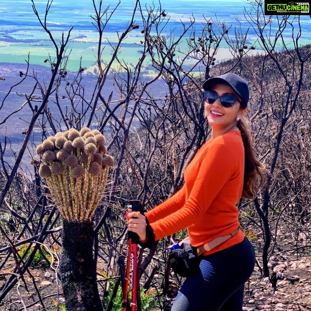 Aarti Chhabria Instagram - Loveeeeee the morning sun! Take me back @vish_beedassy #hiking #trecking #mounttrio #bluffknoll #aartichabria #throwbackfriday