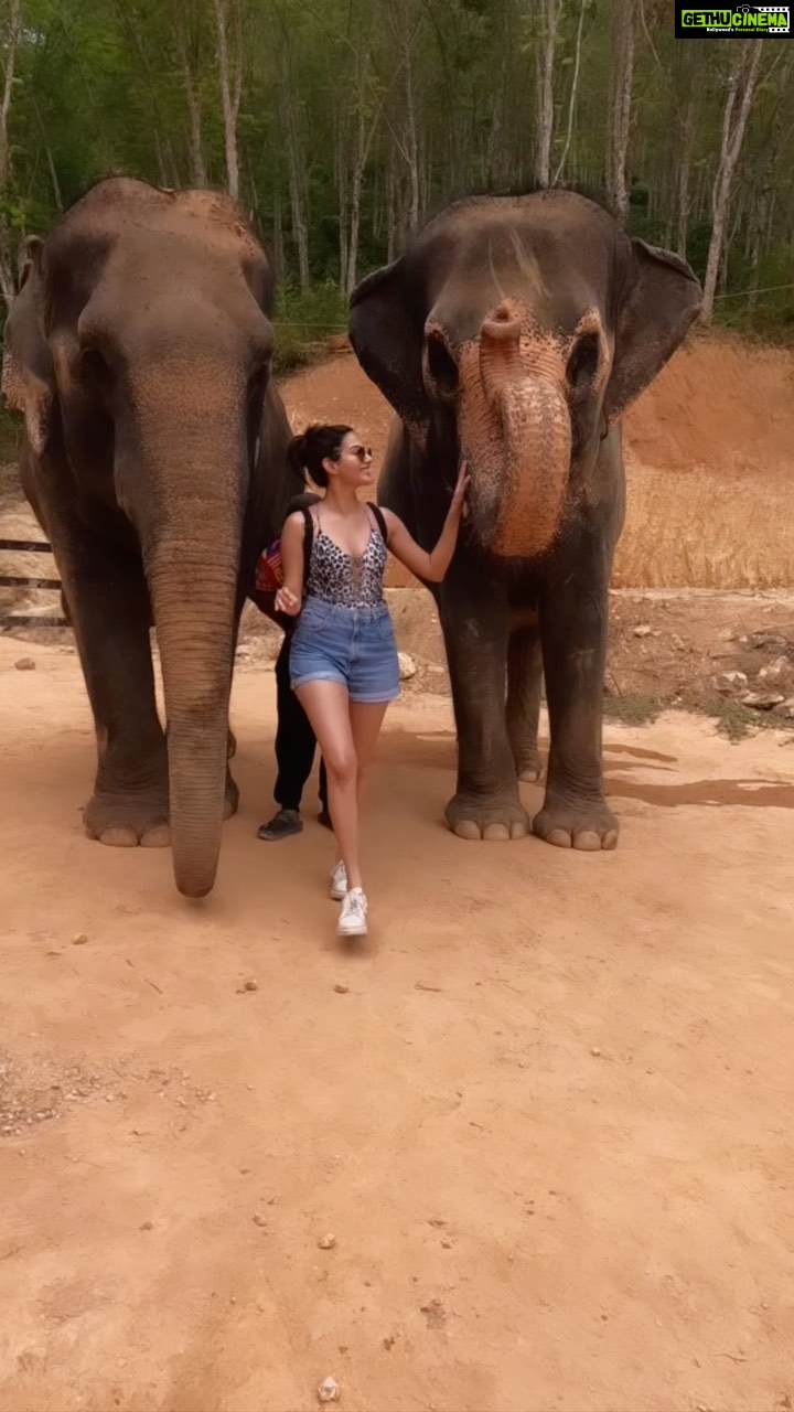 Amyra Dastur Instagram - Kap Kun Ka Phuket ♥️ . . . #thailand #phuket #traveljunkie #travel #travelgram #travelphotography #travelingram #grateful Phuket, Thailand