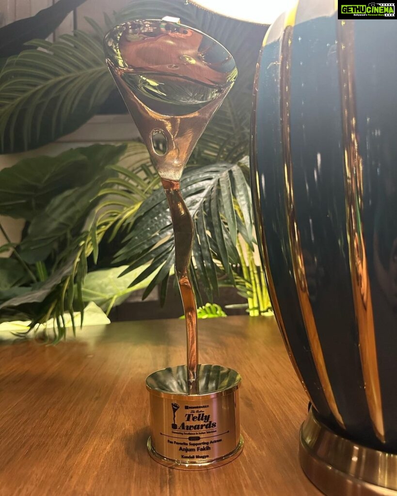 Anjum Fakih Instagram - Elated to share this with y’all… yes you all… all my Fans across the globe… today I was awarded as the Fan Favourite Supporting actress award (#shrishti/#kundalibhagya) at the @tellychakkar #tellyawards 2023… Thanking each one of you for loving shrishti & our beloved show… forever indebted to @ektarkapoor @muktadhond @beinganilnagpal @jassi.k15 @shreya_nehal @anilvkumar04 @baliyanneeraj @sahil.sharma540 @varunthebabbar @ritesh.n.yadav and the entire team of kundali for making a stardust into a star that I am today… #anjumfakih I love thee… many more to grace ahead… amen ❤️ . . . Special thanx to my superbly talented PR team @splendid_pr 🫶🏼