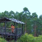 Ann Sheetal Instagram - Kanthalloor - Video out now on YouTube. Link in my Bio. . ● DO NOT REPOST WITHOUT PERMISSION ● . . #🙏 #kanthalloor #idukki #kerala #munnar #tree #treehouse #drone #dronephotography #womenwhodrone #indiagirlstravel #wanderfolk #wander #exploremore #dji #djiair2s
