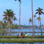 Ann Sheetal Instagram - 📌Kumbalangi . ● DO NOT REPOST WITHOUT PERMISSION ● . #kumbalangi #kerala #keralatourism #wander #wandering_keralites #wanderfolk #backwaters #backwatersofkerala #travel #womenwhoexplore #dji #djiglobal #djiair2s . . . @smeelujeemuzz @jeevan.x