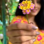 Ann Sheetal Instagram - In a world of our own ♥️🦋🌷 #🙏 #nature #bgm #feels #reel #wanderlust #wander #travel #vibes #emotions #peace #love #kerala #idukki #kanthalloor #happy #exploremore #wander #travelreels #life #wanderfolk #djiair2s