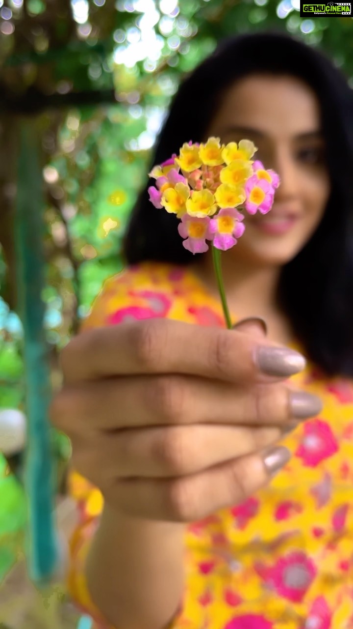 Ann Sheetal Instagram - In a world of our own β₯οΈπ¦π· #π #nature #bgm #feels #reel #wanderlust #wander #travel #vibes #emotions #peace #love #kerala #idukki #kanthalloor #happy #exploremore #wander #travelreels #life #wanderfolk #djiair2s