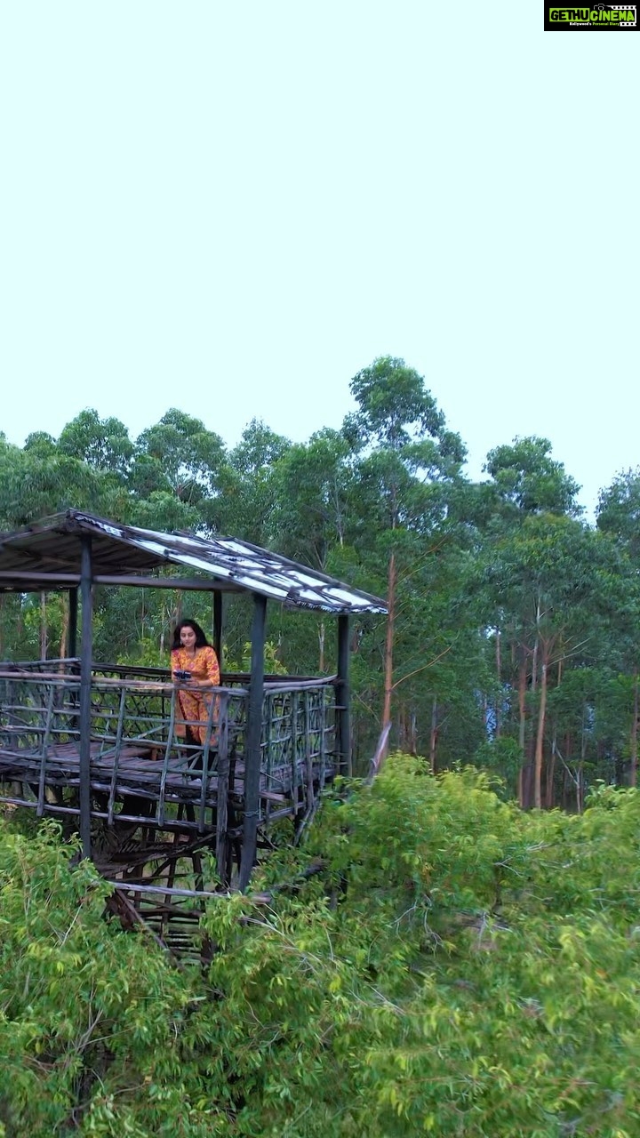 Ann Sheetal Instagram - Kanthalloor - Video out now on YouTube. Link in my Bio. . ● DO NOT REPOST WITHOUT PERMISSION ● . . #🙏 #kanthalloor #idukki #kerala #munnar #tree #treehouse #drone #dronephotography #womenwhodrone #indiagirlstravel #wanderfolk #wander #exploremore #dji #djiair2s