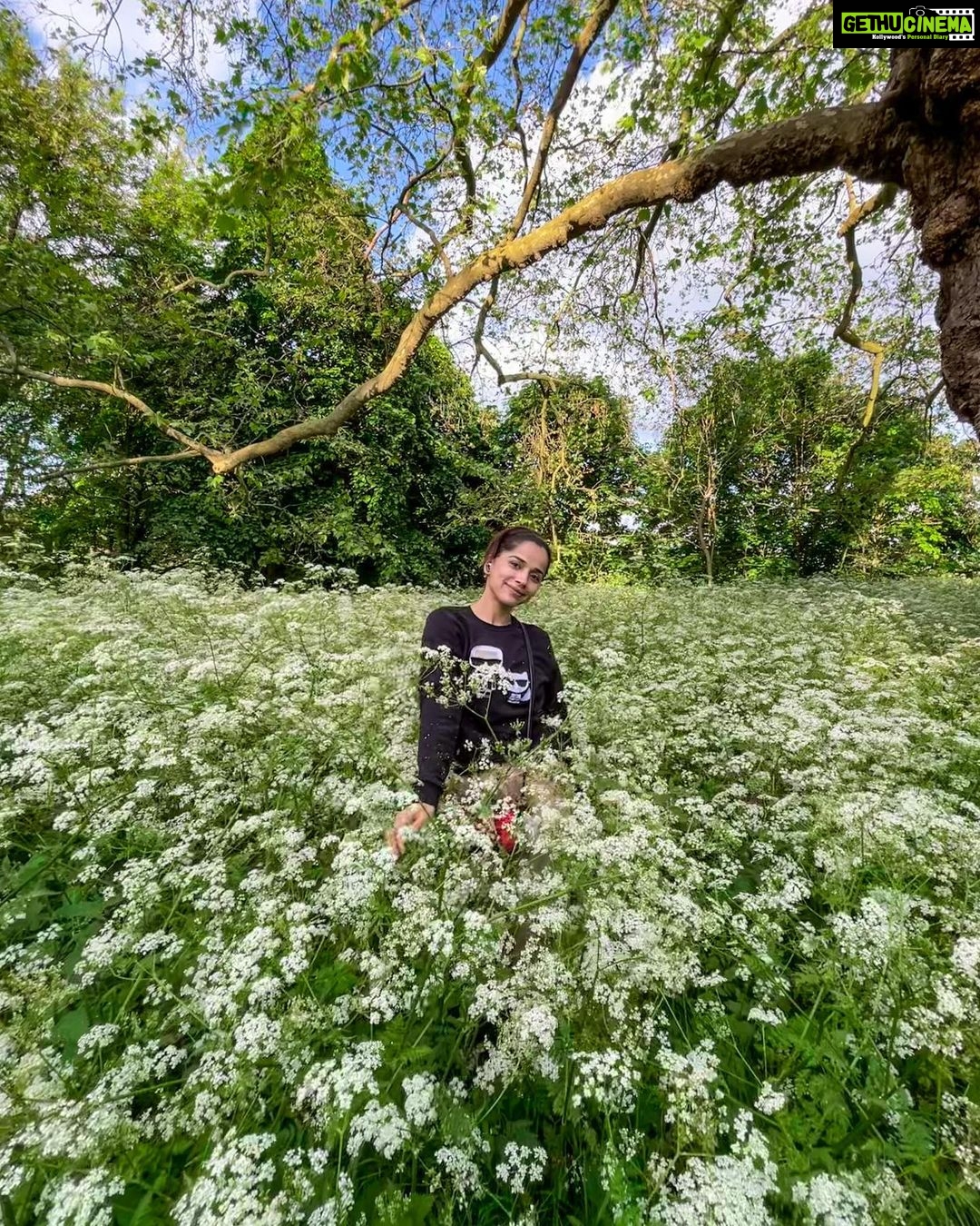 Aparnaa Bajpai Instagram - I swear I didn’t know that I’ll get trapped in the middle of this Beauty when I started my walk🚶♀️ Started from the Park next to my house (Golder’s Hill Park; it’s technical a forest😛). Kept walking and found myself at Primrose hill and suddenly I was crossing Regent’s park. Moral of the story, London is a bigggggg Park😱 So, this is basically a 2 hr walk from my home🍀 London, United Kingdom