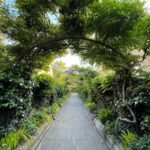 Aparnaa Bajpai Instagram – I swear I didn’t know that I’ll get trapped in the middle of this Beauty when I started my walk🚶‍♀️

Started from the Park next to my house (Golder’s Hill Park; it’s technical a forest😛). Kept walking and found myself at Primrose hill and suddenly I was crossing Regent’s park. 

Moral of the story, London is a bigggggg Park😱
So, this is basically a 2 hr walk from my home🍀 London, United Kingdom