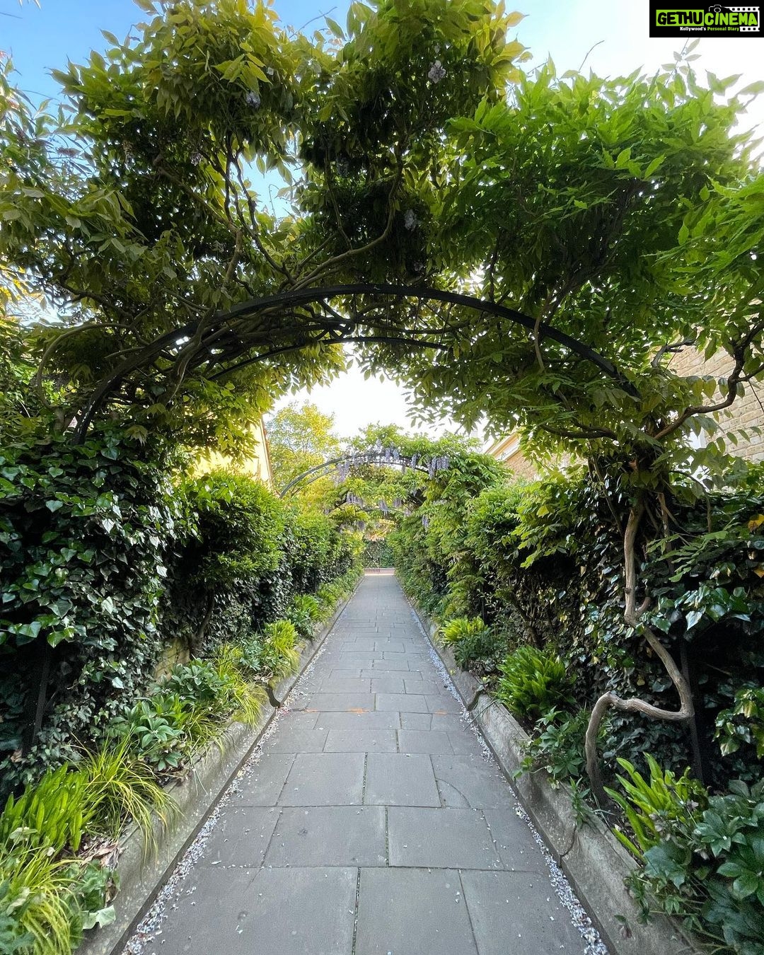 Aparnaa Bajpai Instagram - I swear I didn’t know that I’ll get trapped in the middle of this Beauty when I started my walk🚶♀️ Started from the Park next to my house (Golder’s Hill Park; it’s technical a forest😛). Kept walking and found myself at Primrose hill and suddenly I was crossing Regent’s park. Moral of the story, London is a bigggggg Park😱 So, this is basically a 2 hr walk from my home🍀 London, United Kingdom