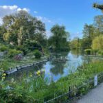 Aparnaa Bajpai Instagram – I swear I didn’t know that I’ll get trapped in the middle of this Beauty when I started my walk🚶‍♀️

Started from the Park next to my house (Golder’s Hill Park; it’s technical a forest😛). Kept walking and found myself at Primrose hill and suddenly I was crossing Regent’s park. 

Moral of the story, London is a bigggggg Park😱
So, this is basically a 2 hr walk from my home🍀 London, United Kingdom