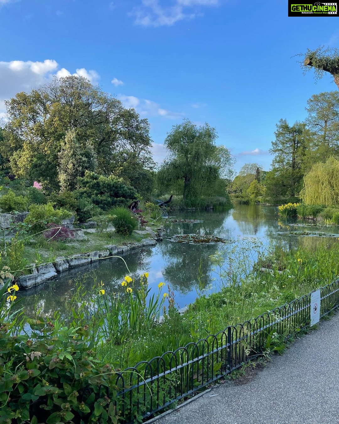 Aparnaa Bajpai Instagram - I swear I didn’t know that I’ll get trapped in the middle of this Beauty when I started my walk🚶♀️ Started from the Park next to my house (Golder’s Hill Park; it’s technical a forest😛). Kept walking and found myself at Primrose hill and suddenly I was crossing Regent’s park. Moral of the story, London is a bigggggg Park😱 So, this is basically a 2 hr walk from my home🍀 London, United Kingdom