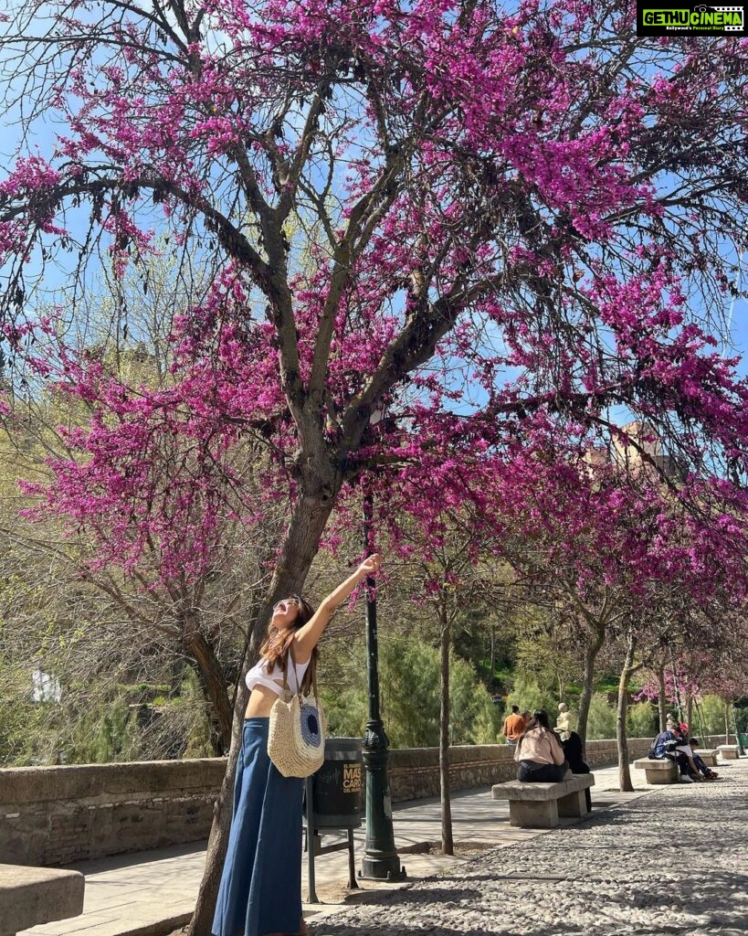 Archana Instagram - May u never let natural beauty pass you by 💗💓🌸🐷🐽🌷🌺🦩👙🎀🎟️👛 Granada Alhambra