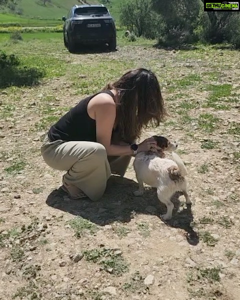 Archana Instagram - A place out of my dreams #ronda 💜🌟🫶 DO NOT MISS MY ZNMD moment in the last frame 🤩😭🥹🙏 . . . #throwback #malaga #spain #fields #greenery #dogoftheday #whitehorse Ronda(Málaga).