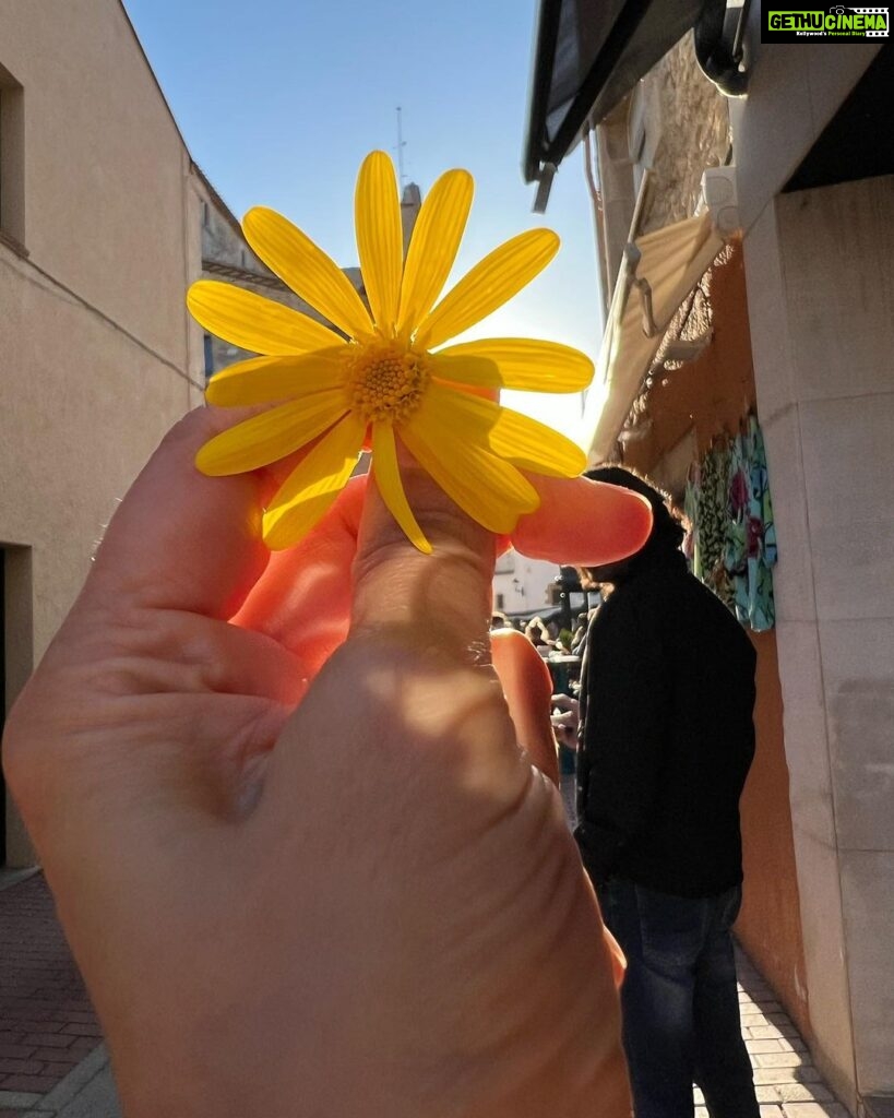 Archana Instagram - The #sun #lemon & #yellowflower Begur, Spain