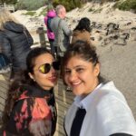Archana Instagram - Day 02 #capetownsouthafrica On our day tour visited the #penguin colony at Boulders Beach & loved the way no one hushed whistled or bullied the animals by any notice or action … penguins are very private creatures and just love to chill with their tribe … delight to visit their nesting holes by the beach & see them snuggle and huddle with their loved ones … like my tribe is as huddling for pictures with them :D Don’t miss the #possum sneakily looking towards me in the bushes 🫣🙈🤪 . . . #love #naturephotography #wildlife #beach #travel Boulders Beach Penguin Colony