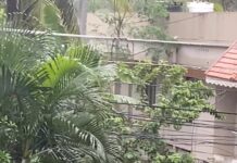Arthana Binu Instagram - Please read the entire caption🙏 I am putting up this post as even though we called the police station for help at around 9:45 am no one has taken any action till now. The person in the video is my biological father Vijayakumar who is also a Malayalam Film Actor. This video shows him going back after successfully trespassing our residence by jumping over the wall to make his was to the property that too inspite of the existence of a protection order issued way back around ten years in favour of me, my mom and my sister. My parents are legally divorced and me my mom and my sister are living in our maternal house along with my maternal grandmother who is 85+. He has been trespassing for years and there are multiple police cases which we have filed against him. Today, he barged into our compound and since the door was locked he was threatening us through the open window. I spoke to him when heard threatening my sister and grandmother to kill them. He also threatened me to stop acting in movies and that he would go to any extent, if I don’t obey. He also said that if I wish to act I should act in the movies which he say. He kept on banging on the window and yelling. He accused my grandmother of selling me off for living. He also bad mouthed the team of my Malayalam movie for which I have just completed shooting. All this is happening when there is an ongoing case in the court which me and my mom have filed against him against trespassing, intruding and creating problems in my workplace, also creating chaos at my mom’s workplace and sister’s educational institution. I am acting in movies only to my will. Acting has always been my passion and I will continue to act as long as my health permits me to. Whenever I act in a Malayalam movie he filed case to stop me from acting. Even when I acted in Shylock, he filed a legal case ,and to prevent the movie from being shelved I had to sign an an official legal document stating that I acted in the movie at my own will. There is more to write but the word limit permitted for the caption doesn’t allow me to. There is also an ongoing case against him which we filed to retrieve the money and gold he owes my mom.