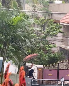 Arthana Binu Instagram - Please read the entire caption🙏 I am putting up this post as even though we called the police station for help at around 9:45 am no one has taken any action till now. The person in the video is my biological father Vijayakumar who is also a Malayalam Film Actor. This video shows him going back after successfully trespassing our residence by jumping over the wall to make his was to the property that too inspite of the existence of a protection order issued way back around ten years in favour of me, my mom and my sister. My parents are legally divorced and me my mom and my sister are living in our maternal house along with my maternal grandmother who is 85+. He has been trespassing for years and there are multiple police cases which we have filed against him. Today, he barged into our compound and since the door was locked he was threatening us through the open window. I spoke to him when heard threatening my sister and grandmother to kill them. He also threatened me to stop acting in movies and that he would go to any extent, if I don’t obey. He also said that if I wish to act I should act in the movies which he say. He kept on banging on the window and yelling. He accused my grandmother of selling me off for living. He also bad mouthed the team of my Malayalam movie for which I have just completed shooting. All this is happening when there is an ongoing case in the court which me and my mom have filed against him against trespassing, intruding and creating problems in my workplace, also creating chaos at my mom’s workplace and sister’s educational institution. I am acting in movies only to my will. Acting has always been my passion and I will continue to act as long as my health permits me to. Whenever I act in a Malayalam movie he filed case to stop me from acting. Even when I acted in Shylock, he filed a legal case ,and to prevent the movie from being shelved I had to sign an an official legal document stating that I acted in the movie at my own will. There is more to write but the word limit permitted for the caption doesn’t allow me to. There is also an ongoing case against him which we filed to retrieve the money and gold he owes my mom.