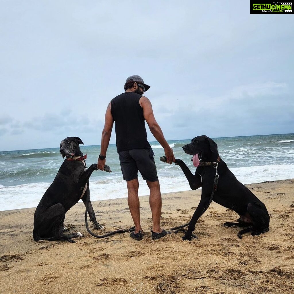 Arun Vijay Instagram - My guards on duty!!😀❤️ #Rudhra & #Pluto #LuvAV #naturelovers #doglover #simplepleasures #morningsky