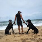 Arun Vijay Instagram - My guards on duty!!😀❤️ #Rudhra & #Pluto #LuvAV #naturelovers #doglover #simplepleasures #morningsky