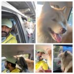 Arun Vijay Instagram – Fun drive with #snow today!!❤️

#husky @snowwthehuskyy #petlover #Rhino