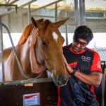 Arya Instagram - To ride a horse is to fly without wings 💪💪🔥 🔥 #dubai Dubai, United Arab Emirates