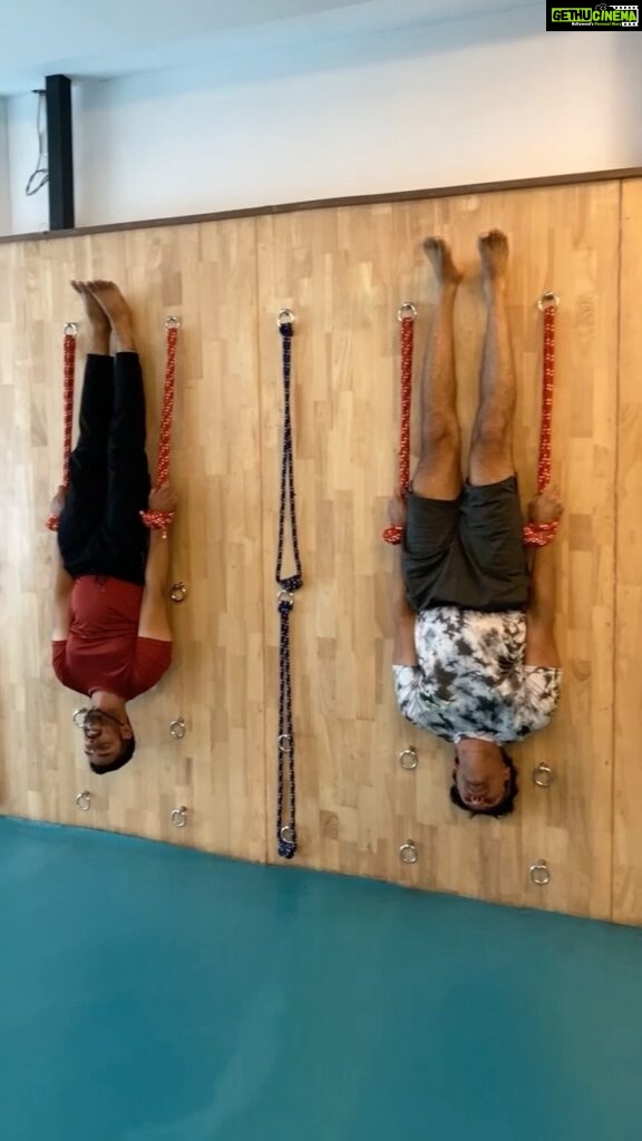 Arya Instagram - “Yoga means addition – addition of energy, strength and beauty to body, mind and soul.” #rope #ropeyoga #yogapractice #ropeyogawall @aryaoffl @ironman.manjunath @saurav.yog @suraksha_25yoga Chennai, India