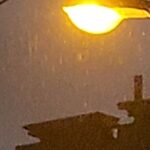 Ashish Vidyarthi Instagram - The dance of rain... Post a parched summer noon. Khejarla, Rajasthan, India