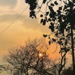 Avneet Kaur Instagram - April-May looked like this 📷🦋🎥⛅️☀️ #camerarolldump Bhopal, Madhya Pradesh