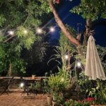 Avneet Kaur Instagram - About last night 💚 #vibes #nights #moody #nofilter Jehan Numa Retreat