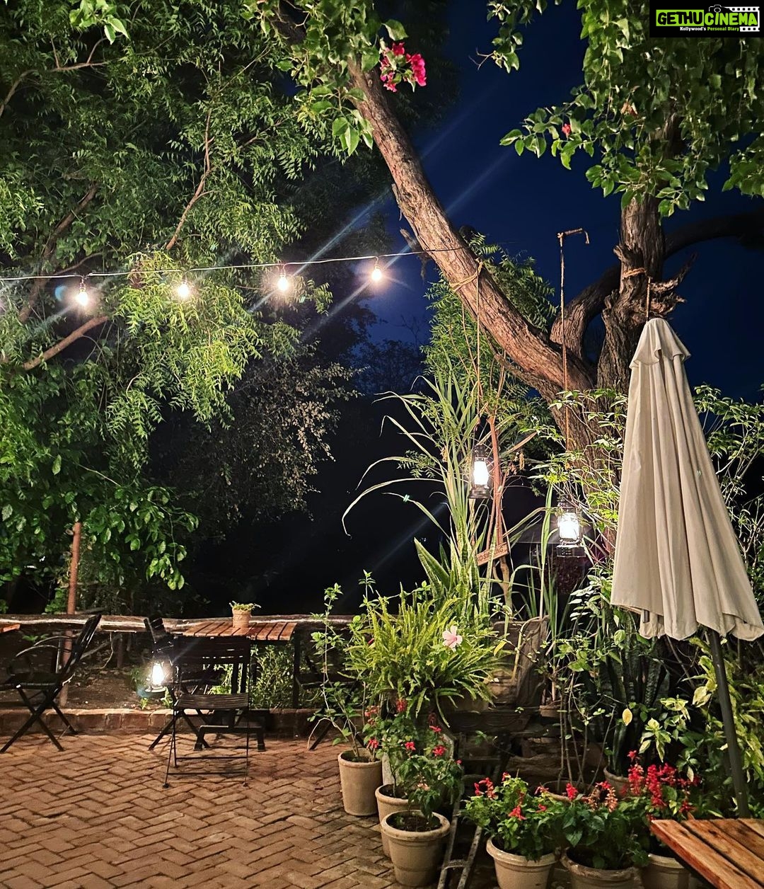 Avneet Kaur Instagram - About last night 💚 #vibes #nights #moody #nofilter Jehan Numa Retreat