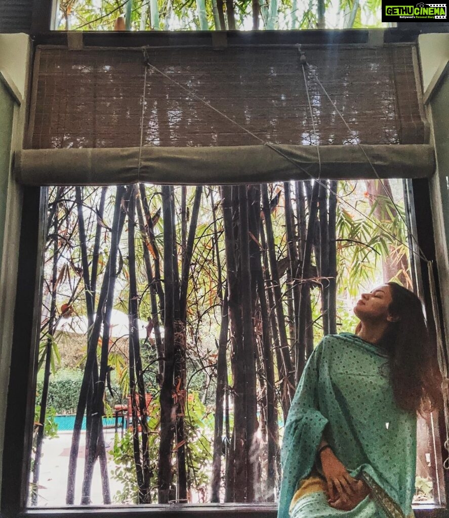 Avneet Kaur Instagram - She lost herself in the trees among the ever-changing leaves. She wept beneath the wild sky as stars told stories of ancient times. The flowers grew towards her light, the river called her name at night. She could not live an ordinary life with the mysteries of the universe hidden in her eyes.💚 #feels #connectwithnature #peace Bhopal, Madhya Pradesh