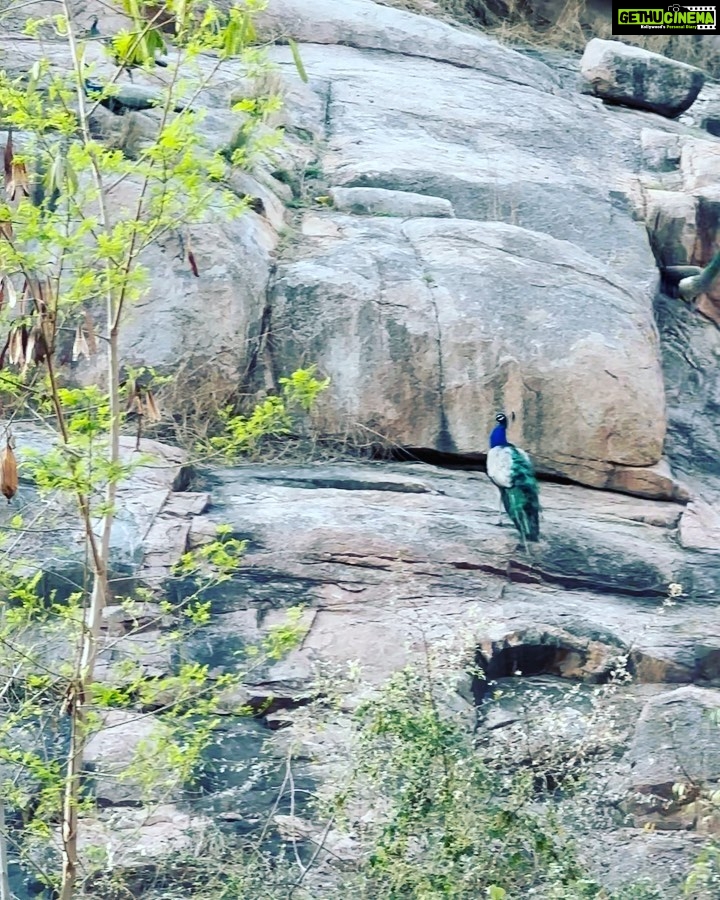 Avneet Kaur Instagram - just a bunch of life right now….🎥☀️🍂👭🏻🎬☁️🌈✨ Madhya Pradesh