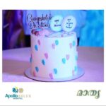 Bhama Instagram - #Apollo adlux Hospital #celebration #baby shower #valakappu ceremony #with new mothers to be # Dr Elizabeth