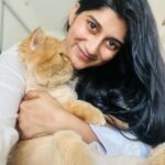 Deeksha Joshi Instagram - I hardly get an opportunity like this- Myo sitting comfortably on my lap while I click a selfie!! And he looks like a Hamleys plushie in this picture 😭♥️ #dreamcometrue Mumbai, Maharashtra