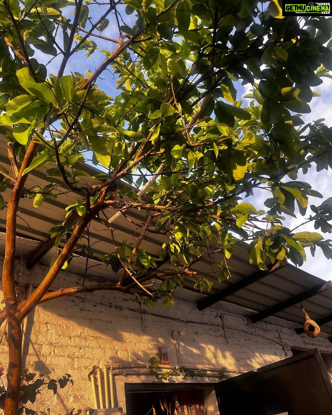 Deeksha Joshi Instagram - I had come to Dehradun to attend my best friend’s wedding reception and very mystically remembered that I’d had a chat with @purkalstreeshakti a couple of months back and that they had invited me to visit their workshop. Although it was a Sunday and I couldn’t meet the artisans I am glad that I could have a very enriching chat with Banee, one of the co- founders of the organisation. Also Neha was there, working and smiling beautifully at me 🥰 The organisation helps empower local women by training them and thereby employing them. They are taught applique work, quilting, patch work etc. They’ve by far made baby quilts, cushion covers, soft toys, journals and many more products. These get sold and shipped all over the country and they get orders from abroad as well! Each artisan has seen her life transform and some of the stories are very very inspiring! Moreover, their kids go to a school where their education is funded and taken care of. I am definitely coming here again on a working day and shall spend some good time with these artisans who are brilliant artists.. (and i am a fan) Thank you @purkalstreeshakti for hosting me and thank you Banee for that wonderful chat. ♥️ Dehradun, Uttarakhand