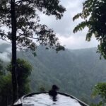 Deepa Thomas Instagram - It feels good to be lost in the right direction :) 🍃 📍 @chembarathiwayanad ✨