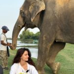 Disha Patani Instagram - So grateful for this year✨ thank you so much for all your wishes❤️ i really hope this year fills everyone’s heart with love 🌸 i am blessed to have the most beautiful souls in my life✨ looking forward to more sunsets, happy memories with my loved ones and finding myself🌸✨